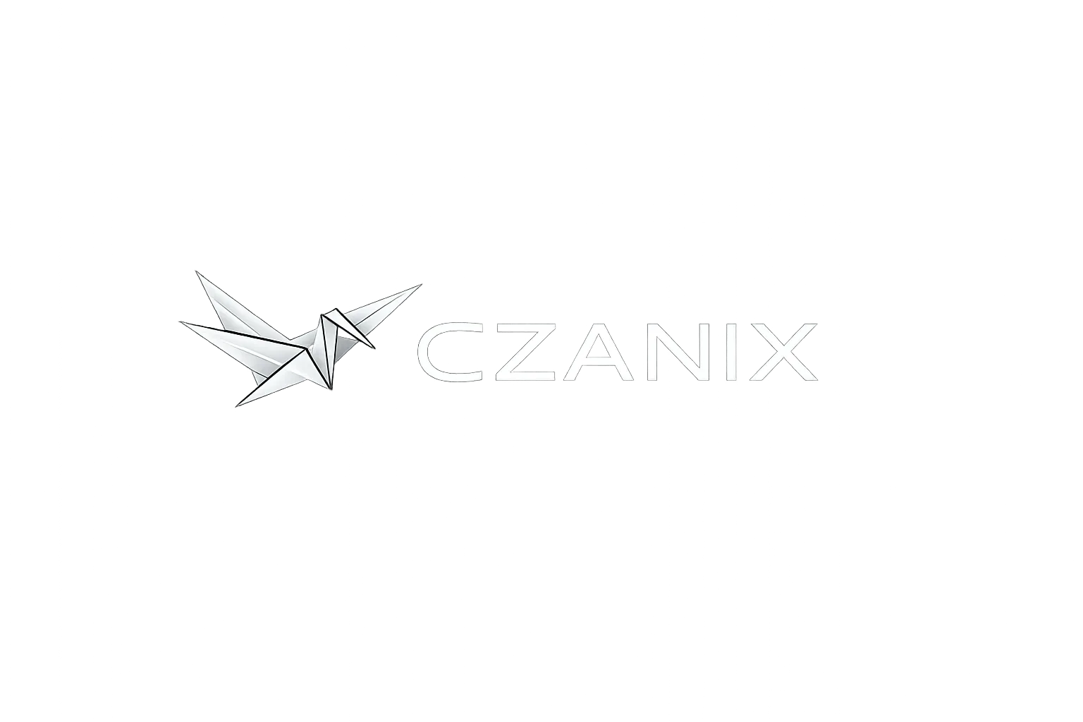Czanix Tsuru